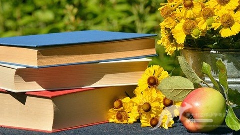 AEAS考试备考知识点：关系代词作宾语时的省略