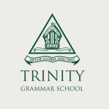 崔尼迪文法学校