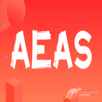 AEAS考试的写作技巧是什么？