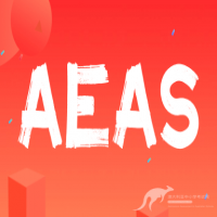 AEAS考试：通往顶尖私立学校的‘高考’门槛揭秘